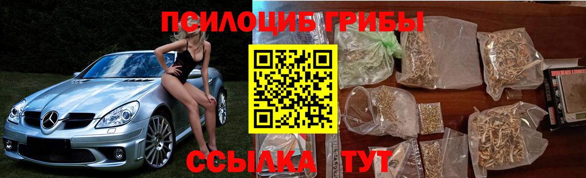 Донской  Псилоцибиновые грибы Cubensis  Вход с VPN  Псилоцибиновые грибы Cubensis 